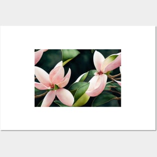 Magnolia Grandiflora Watercolor Painting Posters and Art